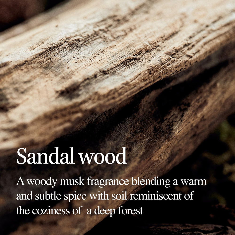 LONGTAKE Sandalwood Shampoo foam-lather demonstrates cleansing and softness