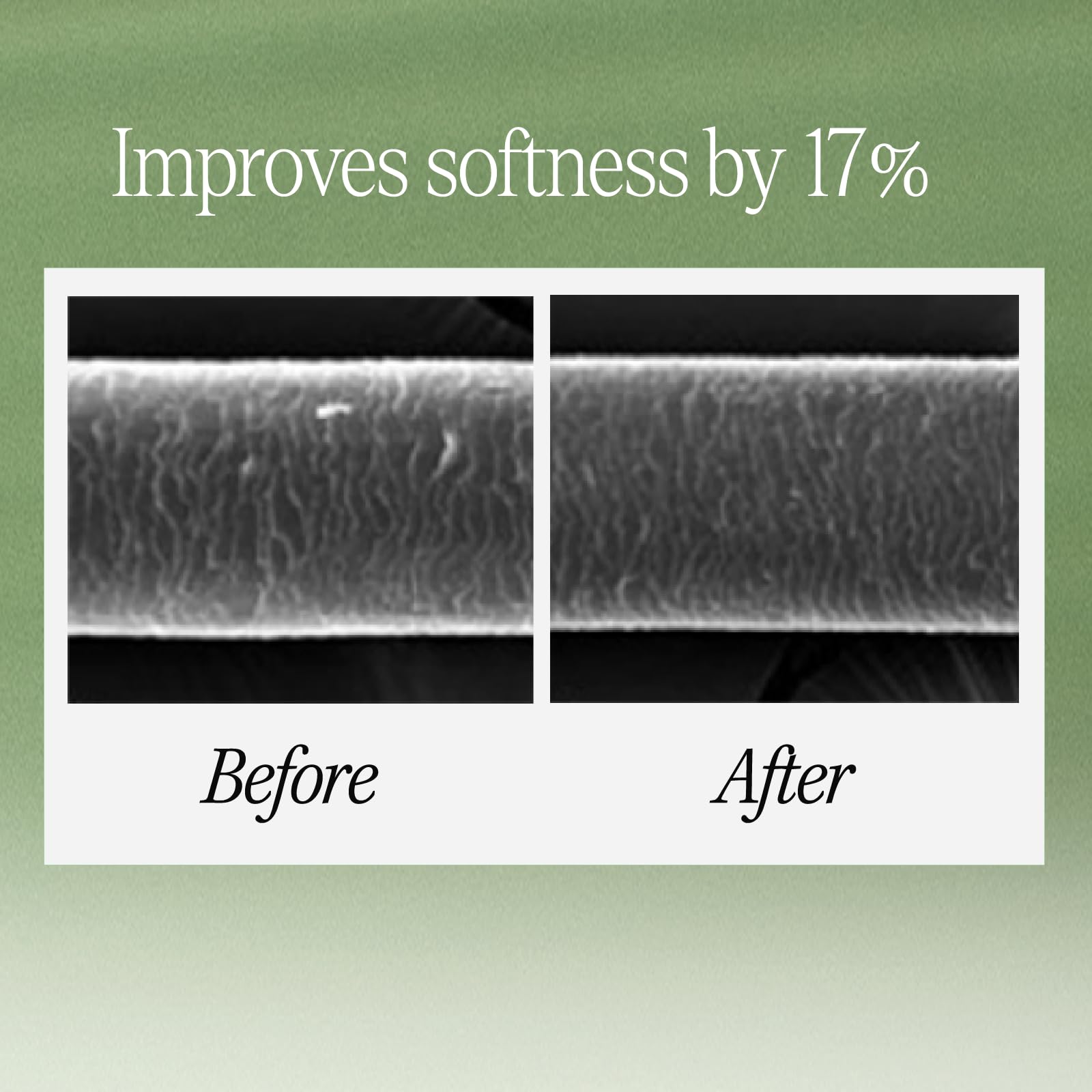 LONGTAKE Sandalwood Shampoo ingredients close-up showing camellia oil and ceramide for hair nourishment