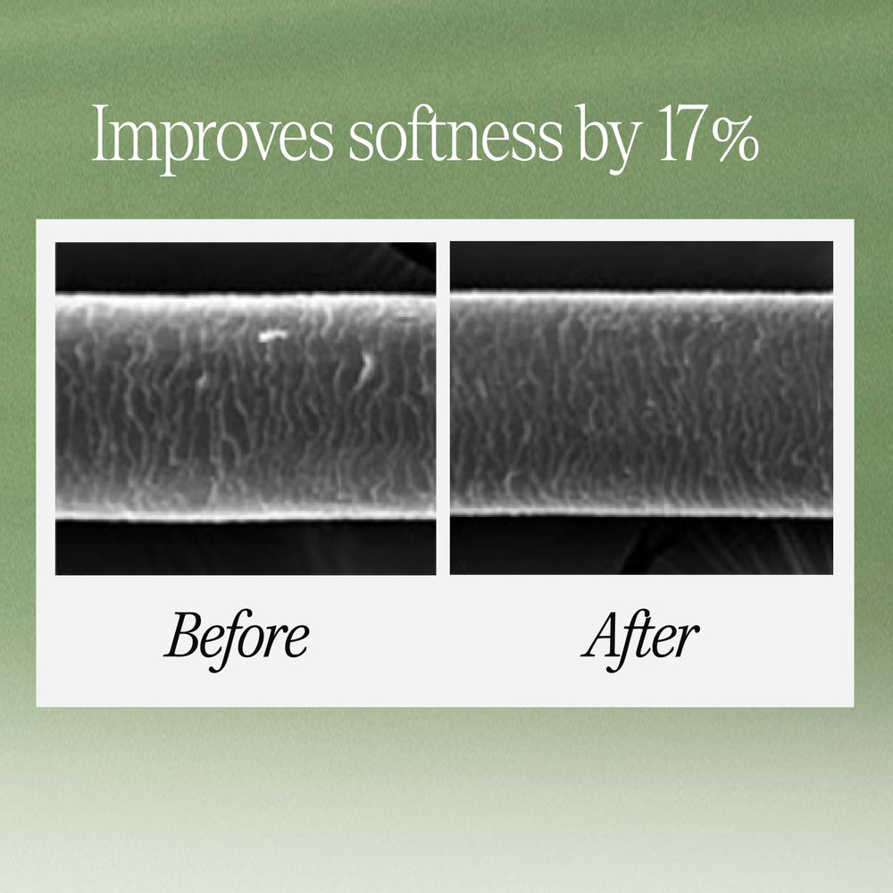 LONGTAKE Sandalwood Shampoo ingredients close-up showing camellia oil and ceramide for hair nourishment