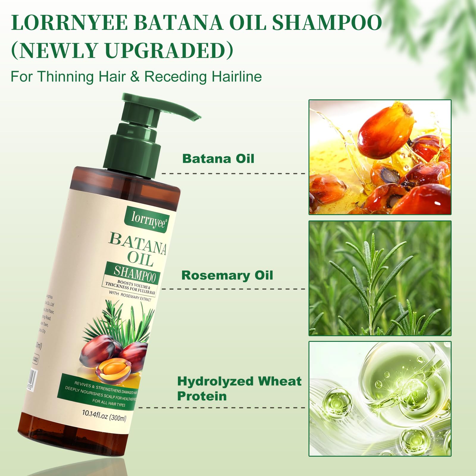 Lorrnyee Rosemary extract focus highlights natural ingredients supporting balanced scalp