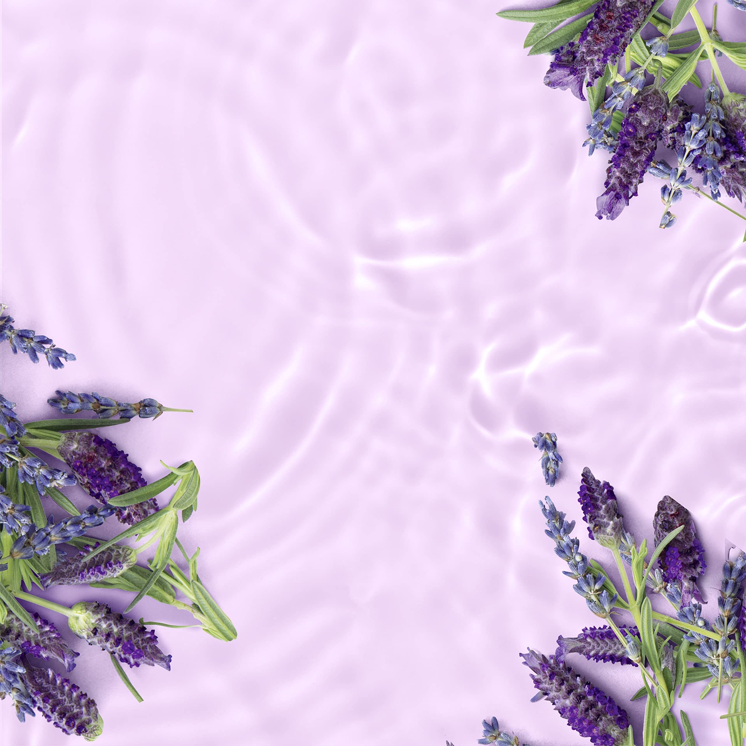 Love Beauty And Planet color-safe formula shown on bottle label
