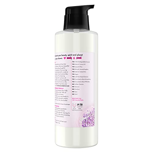 Lather spreading through curly hair using Love Beauty and Planet shampoo