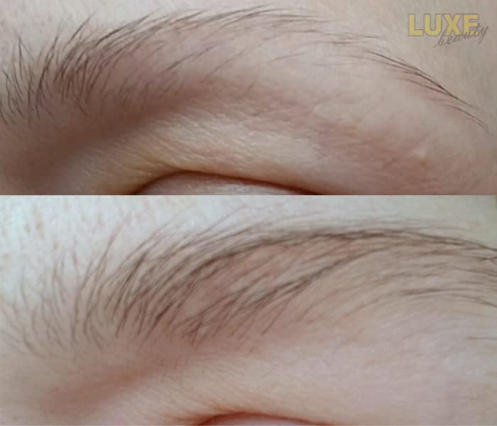 Luxe Beauty BROWS applicator brush demonstrates easy nightly application