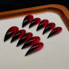 Luxury Handmade Press on Nails showing bold eagle claw shape for drama