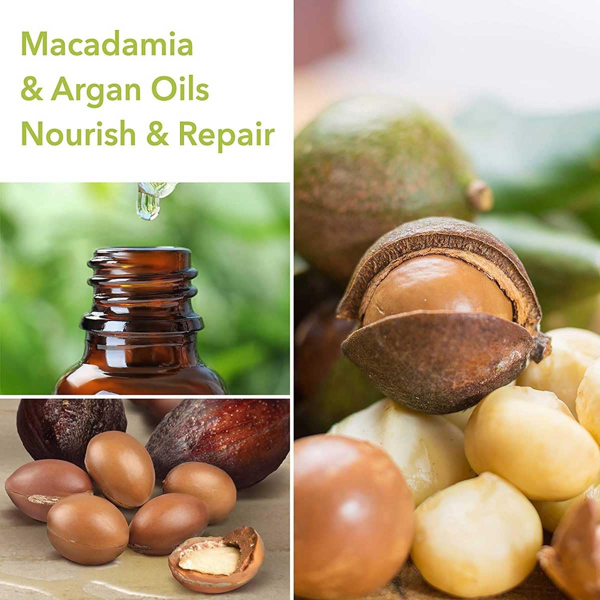 Macadamia Professional bottle-pack shot signaling premium salon care.