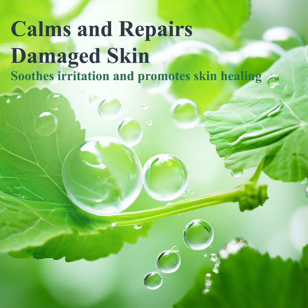 Centella asiatica ingredient close-up on Madeca DERMA mask