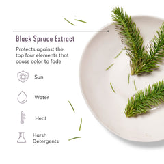 Madison Reed ColorSolve bottle highlights black spruce extract for color protection.