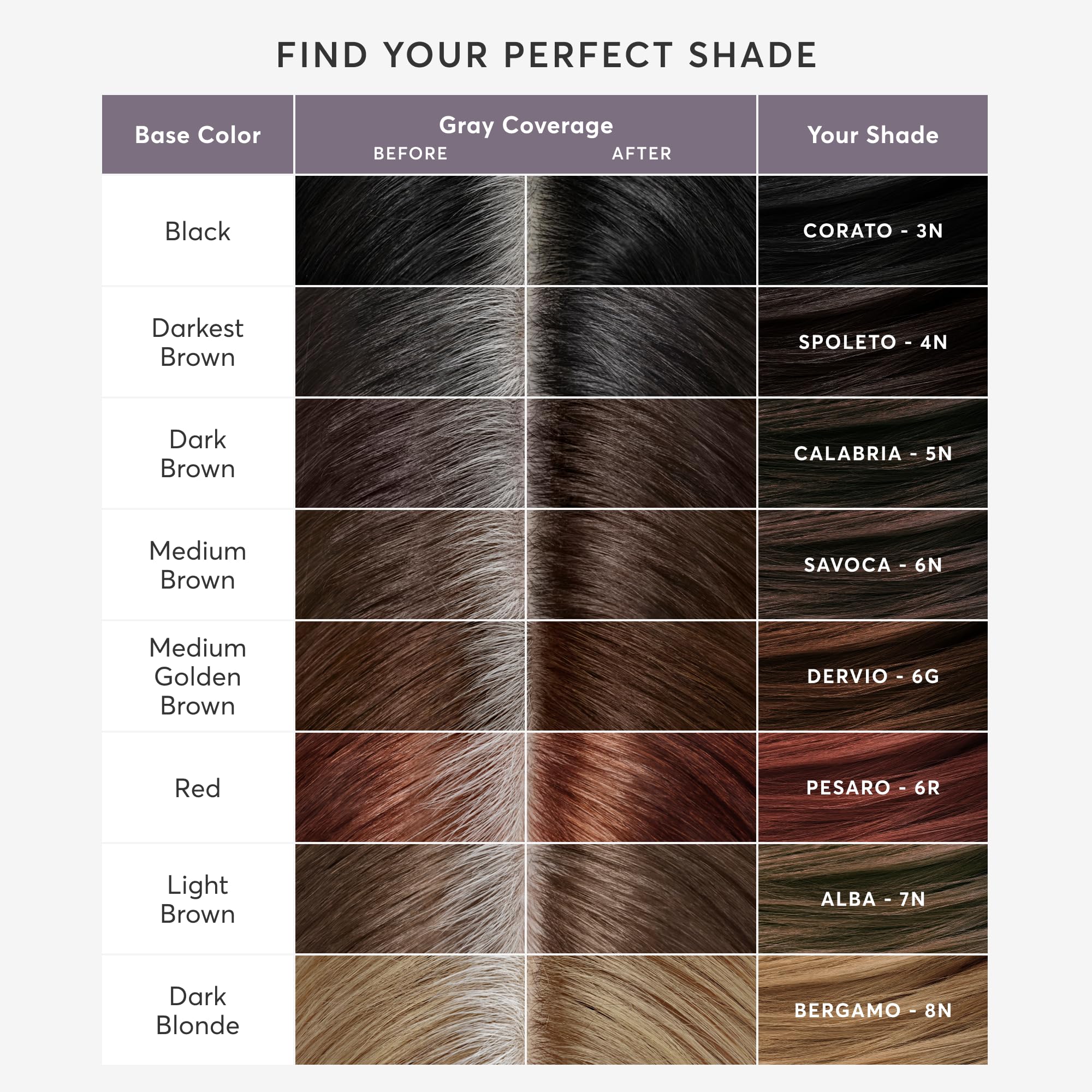 Madison Reed Root Perfection 6G easy at-home color touch-up for roots.