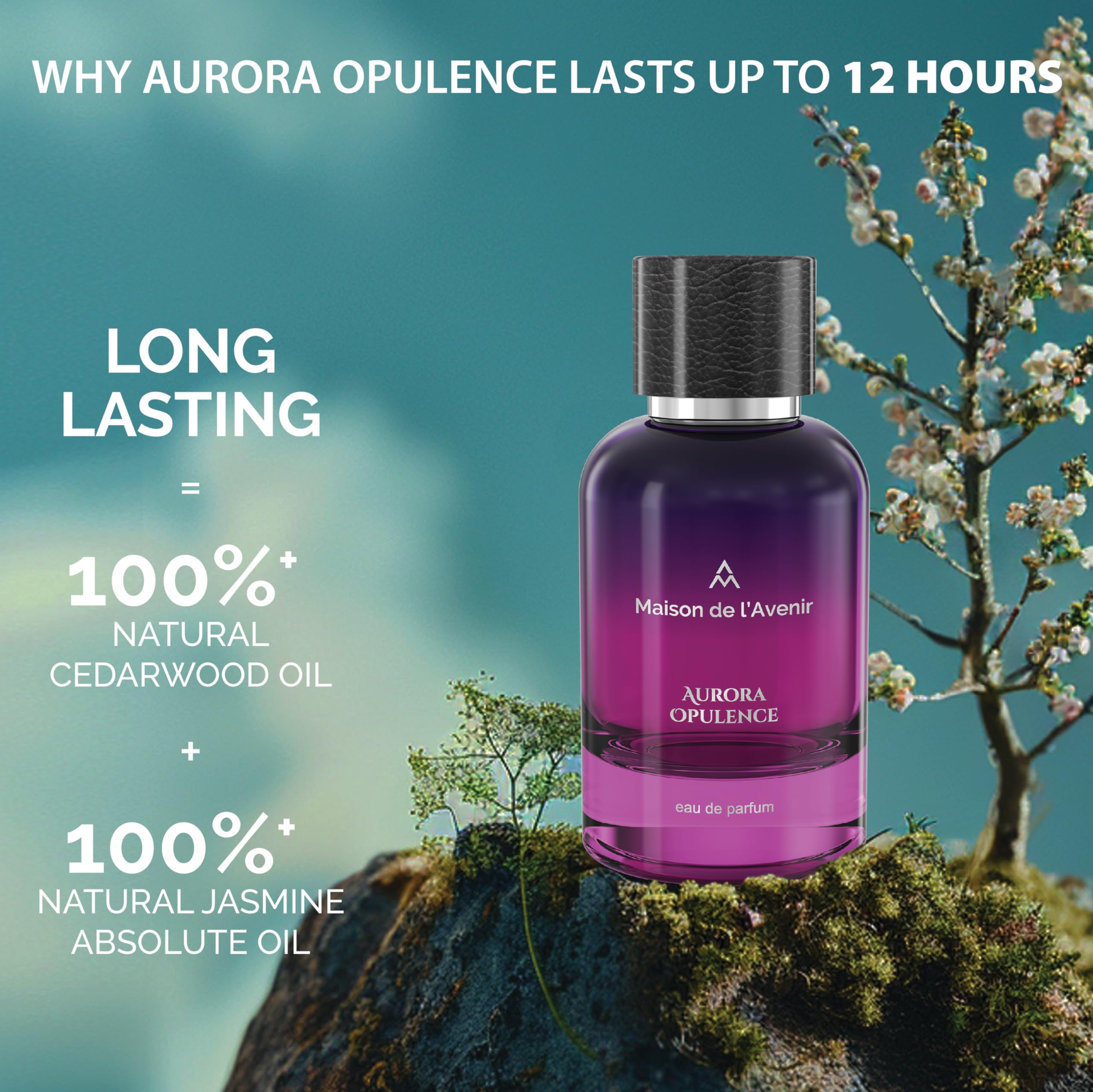 Aurora Opulence top-notes pepper and saffron opening for an energizing start.