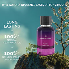Aurora Opulence top-notes pepper and saffron opening for an energizing start.