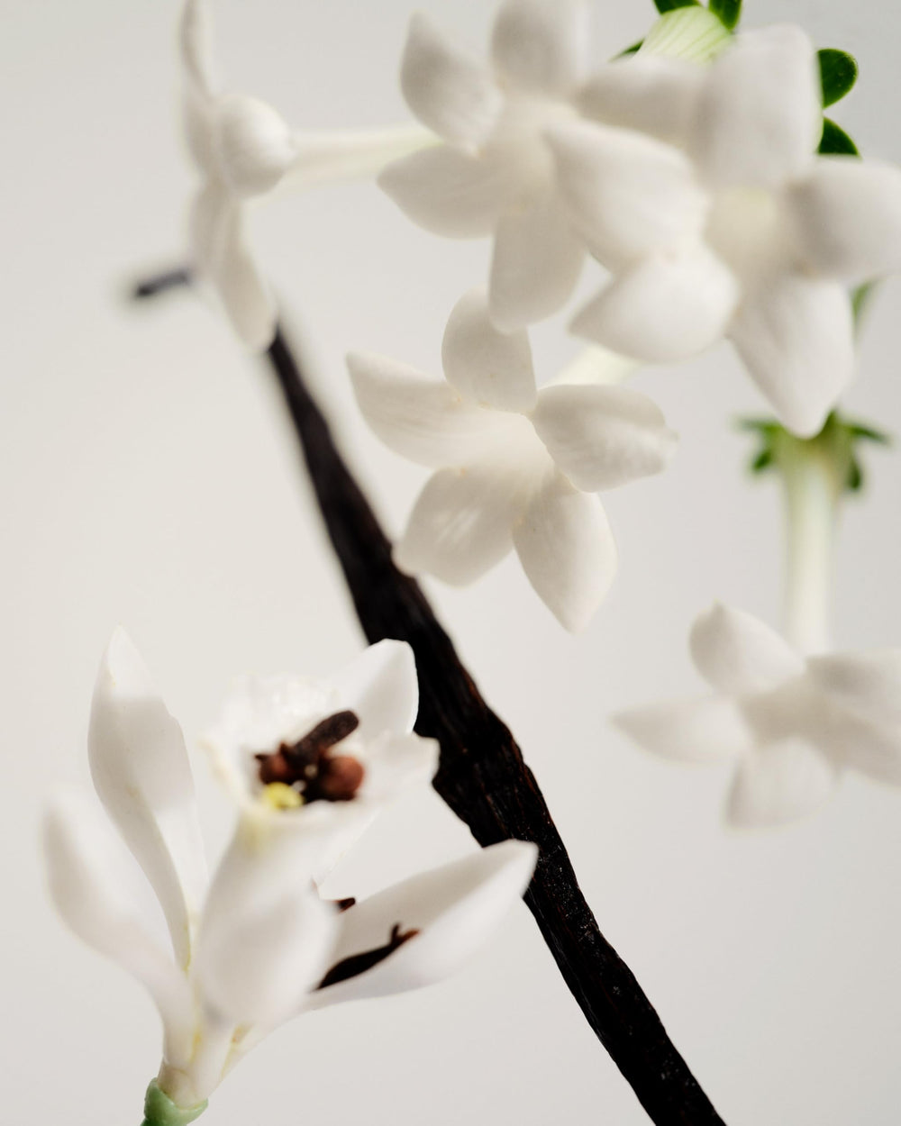 No3 Étang Noir roll-on cap close-up for travel-friendly fragrance.