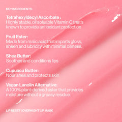 MAKE Lip Reset ingredients shot showcasing shea butter and jojoba oil