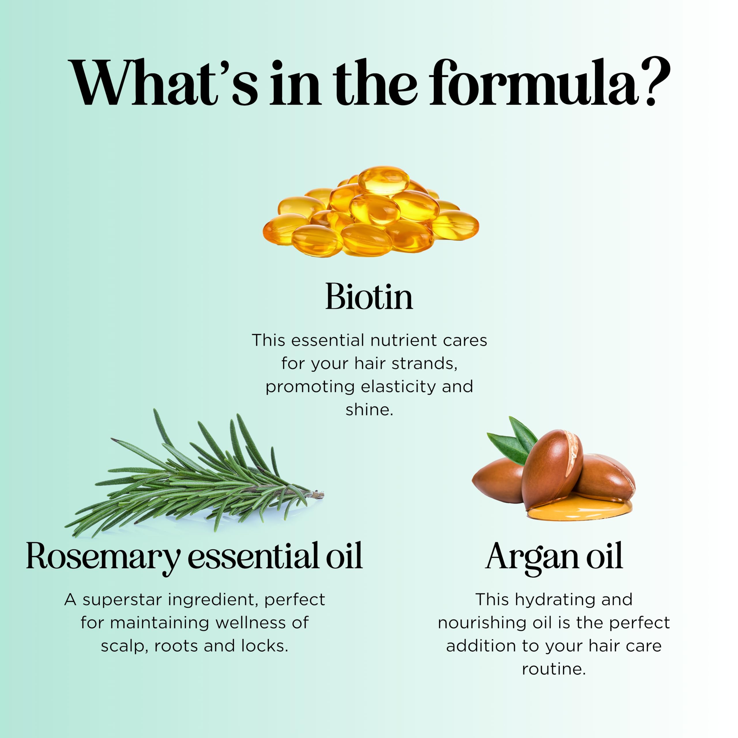 Maple Holistics Biotin Rosemary Conditioner plant proteins boost hair body