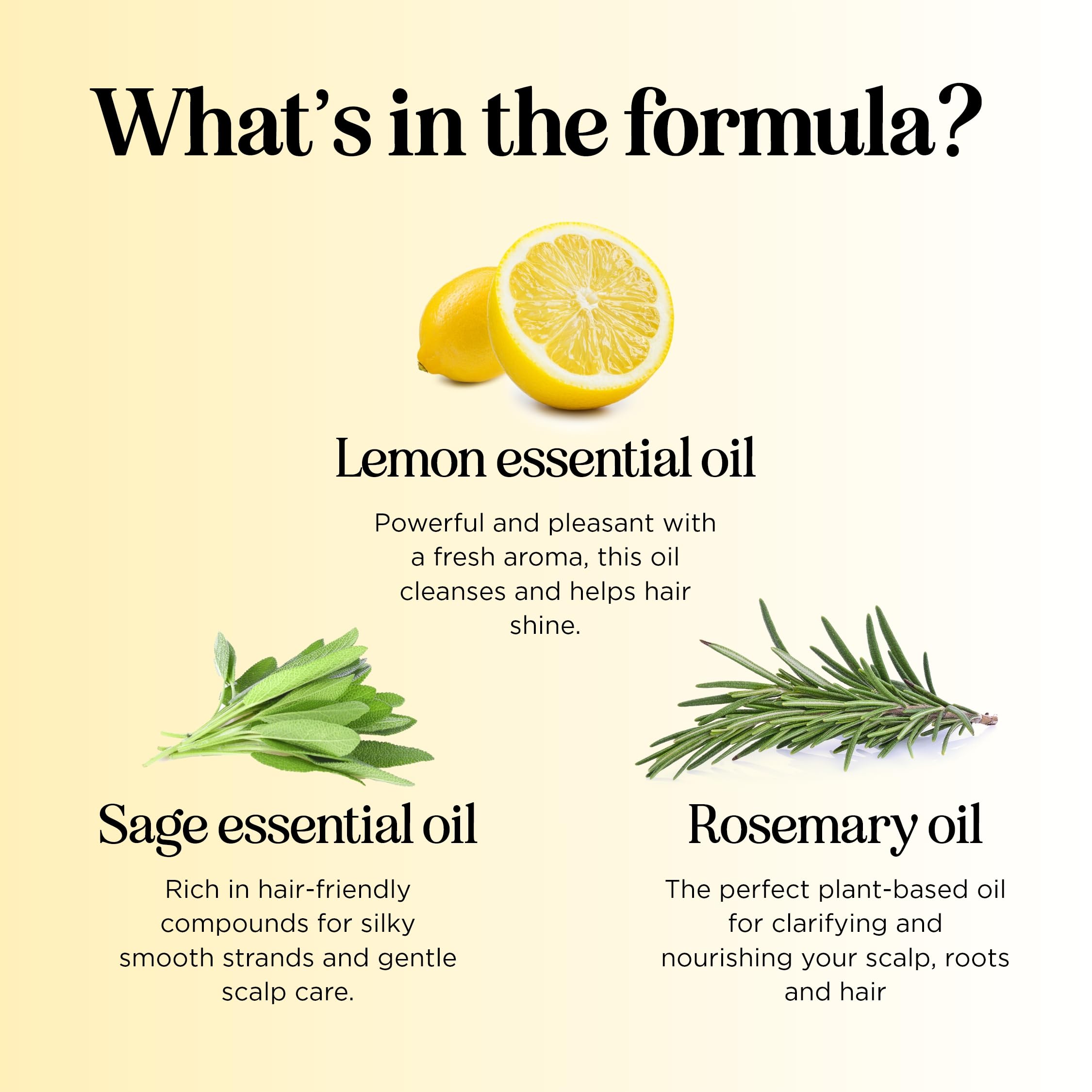Maple Holistics Lemon Sage Clarifying Shampoo paraben-free formula for daily use