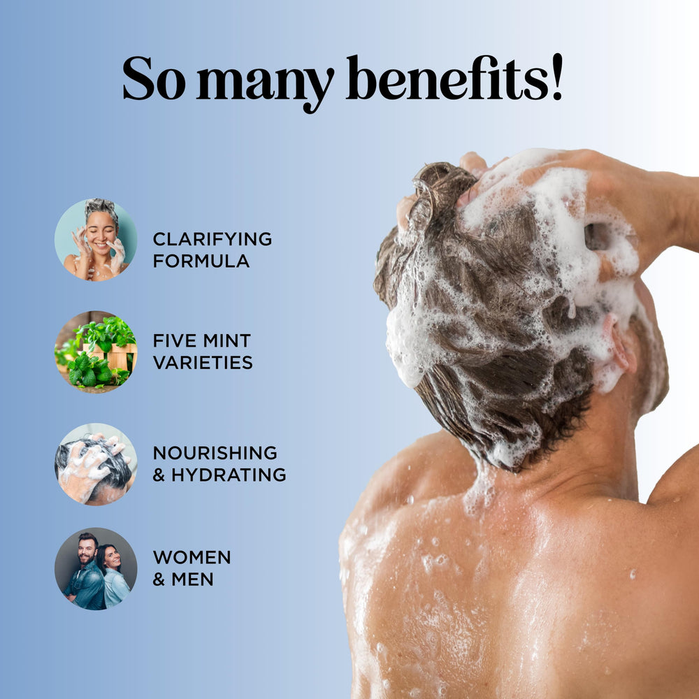 Maple Holistics mint oils collection highlights refreshing scalp care