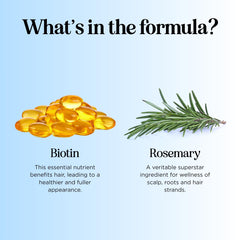 Argan oil jar signals natural shine in Maple Holistics Rosemary Biotin Shampoo