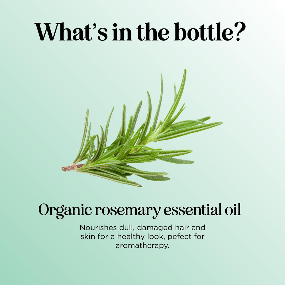 Maple Holistics rosemary oil diffuser use supports focus and mood