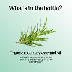 Maple Holistics rosemary oil diffuser use supports focus and mood