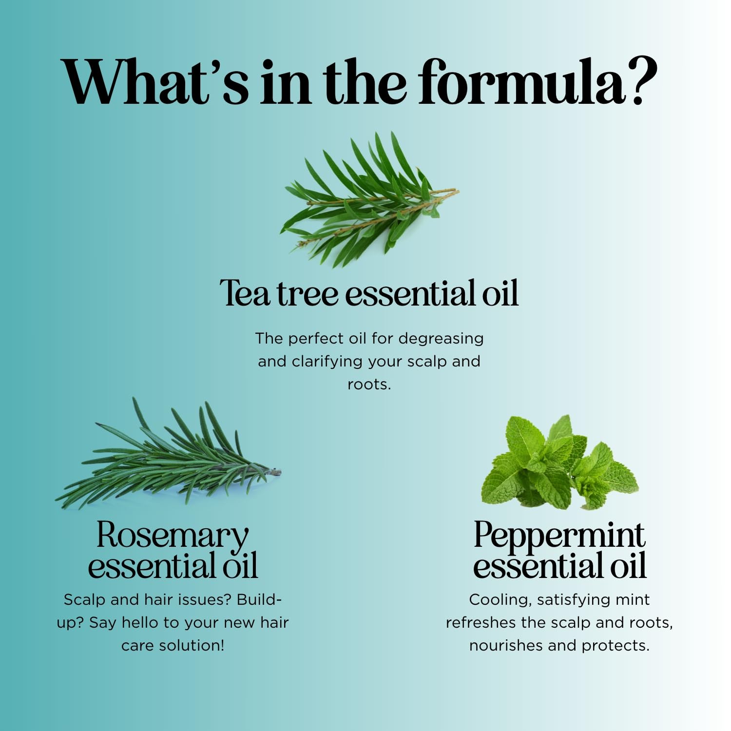 Dandruff-prone scalp benefit visualization with Maple Holistics formula.