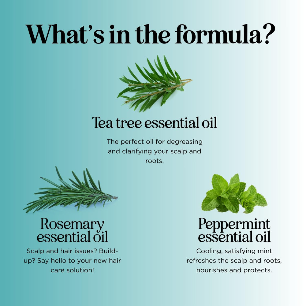 Dandruff-prone scalp benefit visualization with Maple Holistics formula.