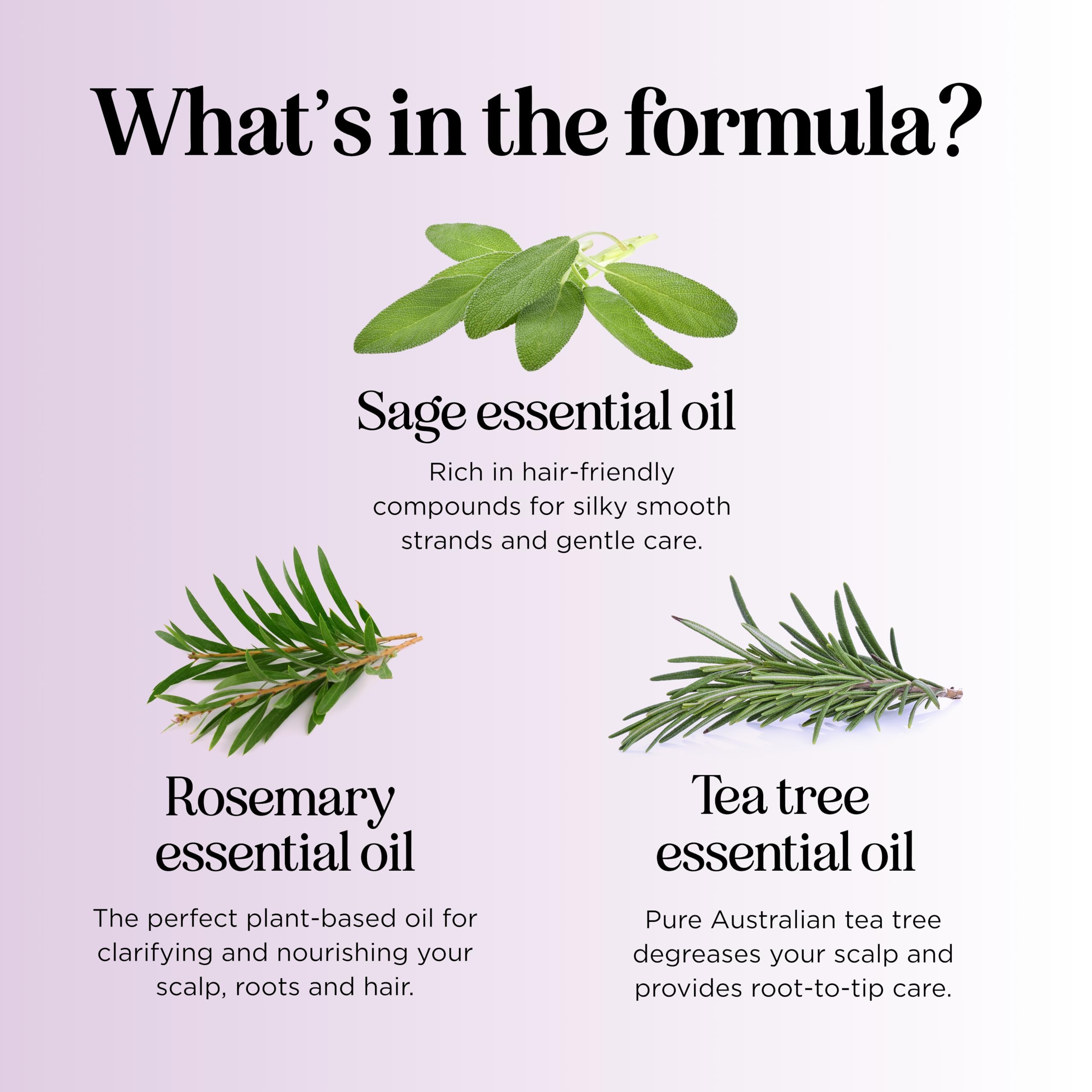 Maple Holistics Sage Rosemary Shampoo for oily hair shows a clarifying effect.