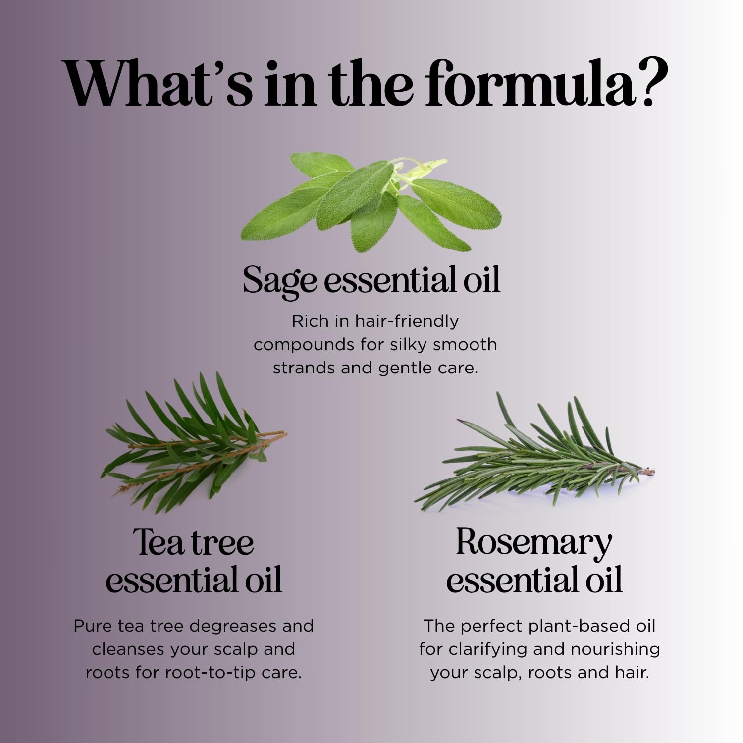 Maple Holistics Sage & Rosemary Shampoo foam closeup indicating gentle cleansing experience.