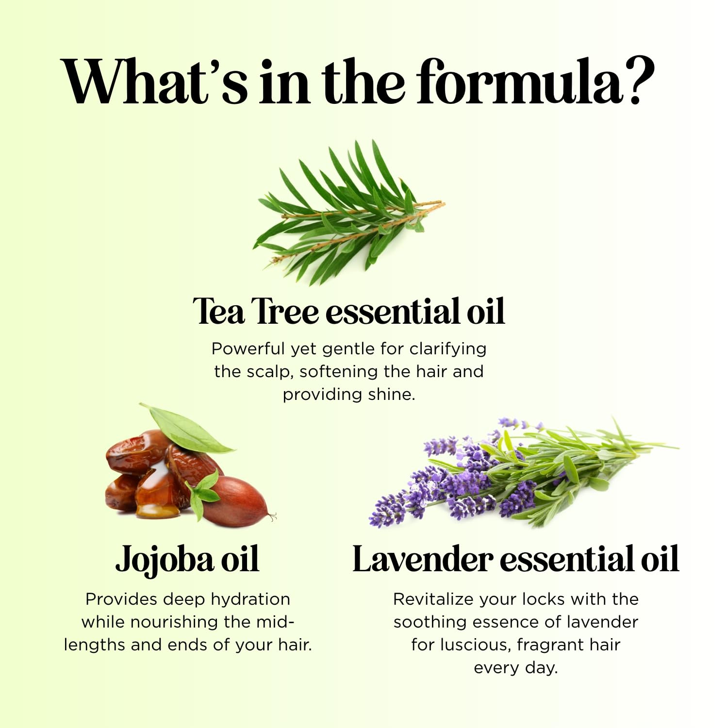 Eco-packaging of Maple Holistics Tea Tree Conditioner emphasizing natural care