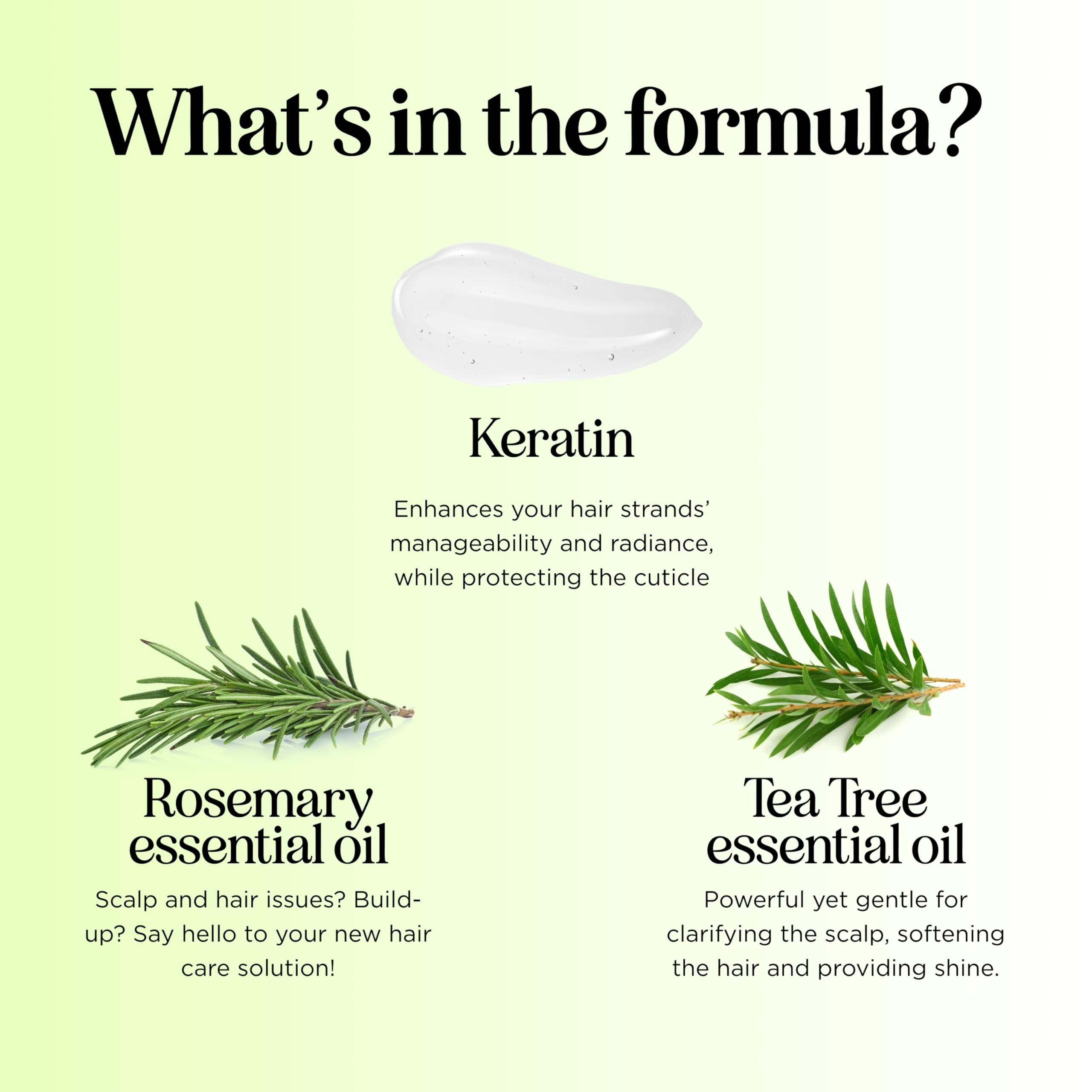 Maple Holistics Tea Tree scalp balance scene suggests refreshed, clarified scalp