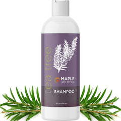 Maple Holistics Tea Tree Shampoo bottle pour clarifies oily scalp with a refreshing tea tree scent