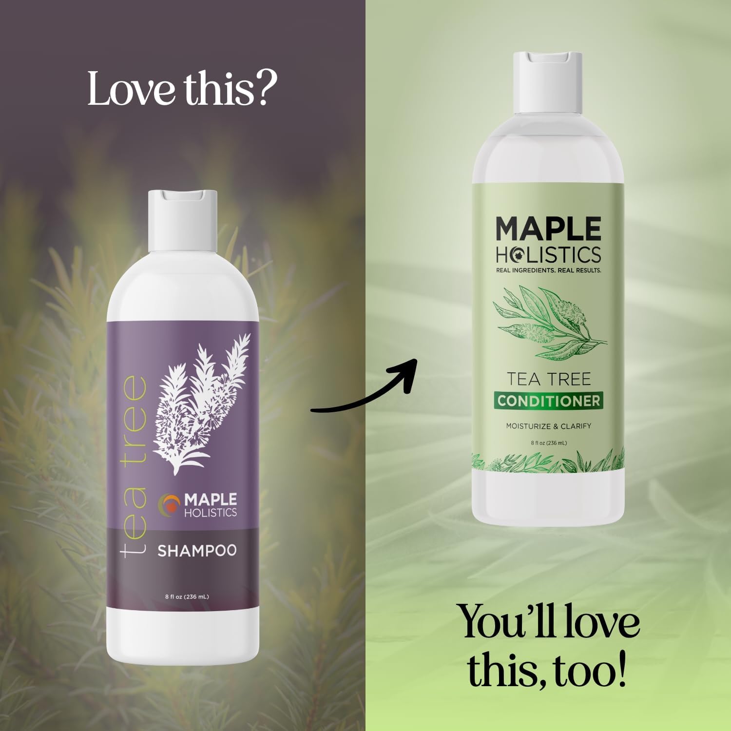Maple Holistics Tea Tree Shampoo ingredients art highlights rosemary tea tree and lavender essential oils