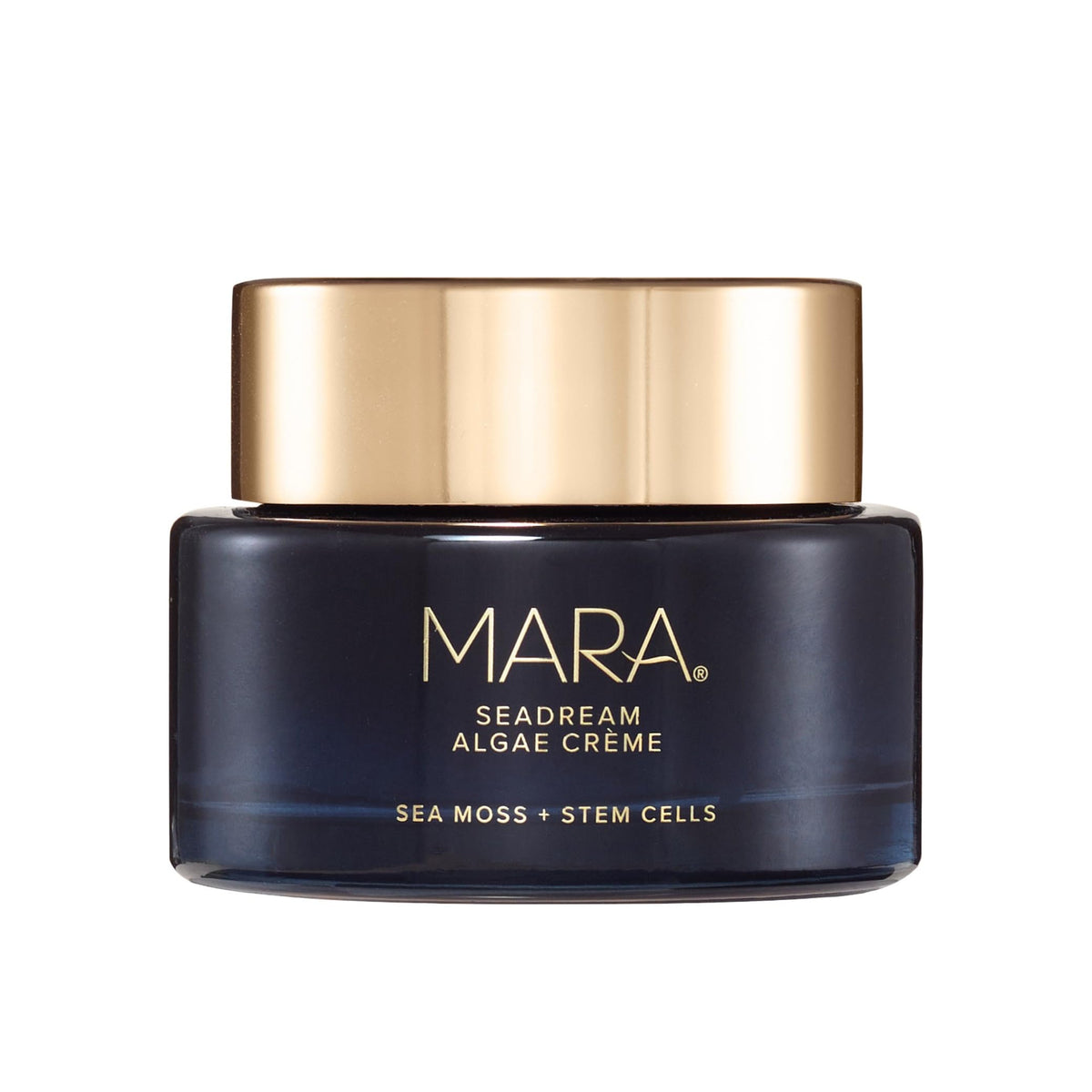 MARA SeaDream Creme jar close-up showing rich overnight hydration.