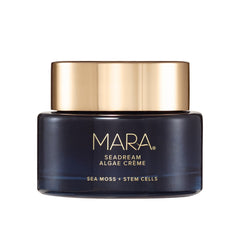MARA SeaDream Creme jar close-up showing rich overnight hydration.