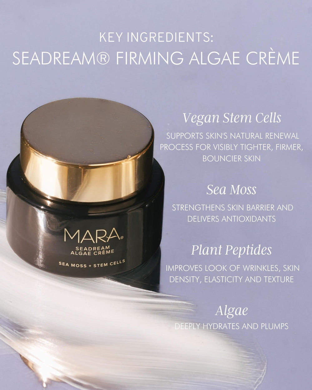 Night routine image with MARA SeaDream Creme for dewy morning skin.