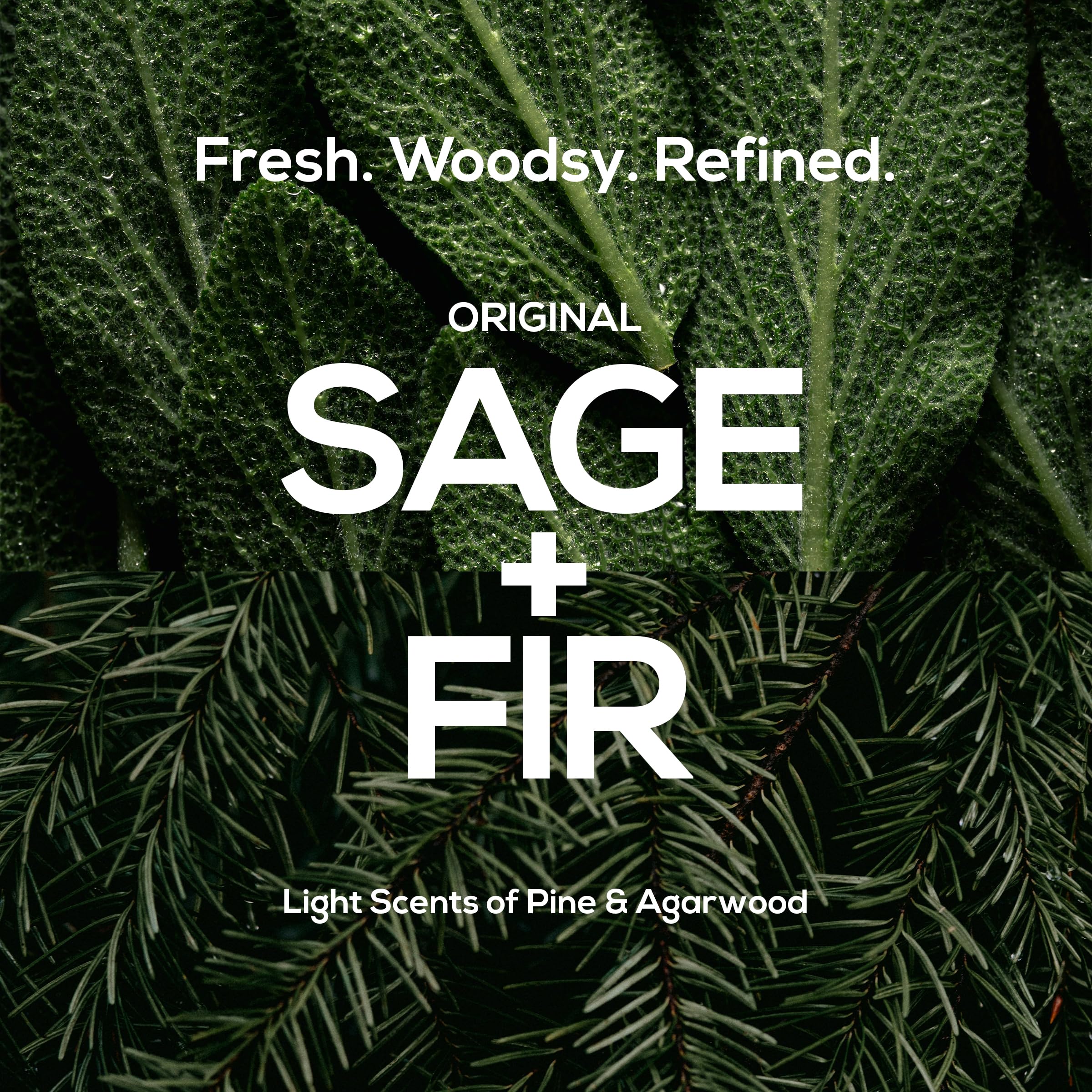 Packaging shot of MARLOWE No. 002 Sage and Fir, USA-made vegan.