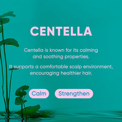 Mars Made Centella Shampoo Bar 2.0 centella plant close-up calming scalp benefits.