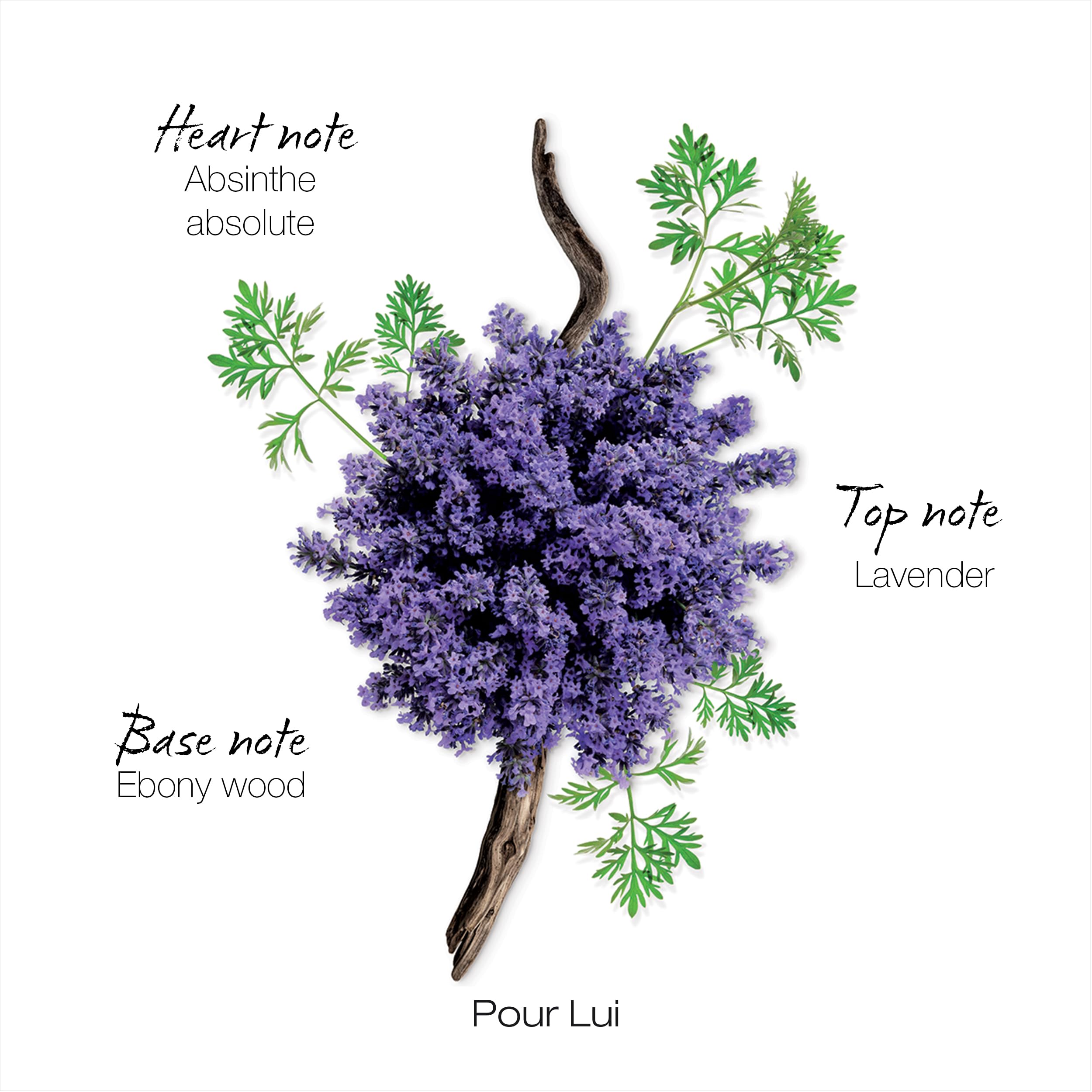 Mauboussin Pour Lui lavender note visual hints at fresh, refined opening