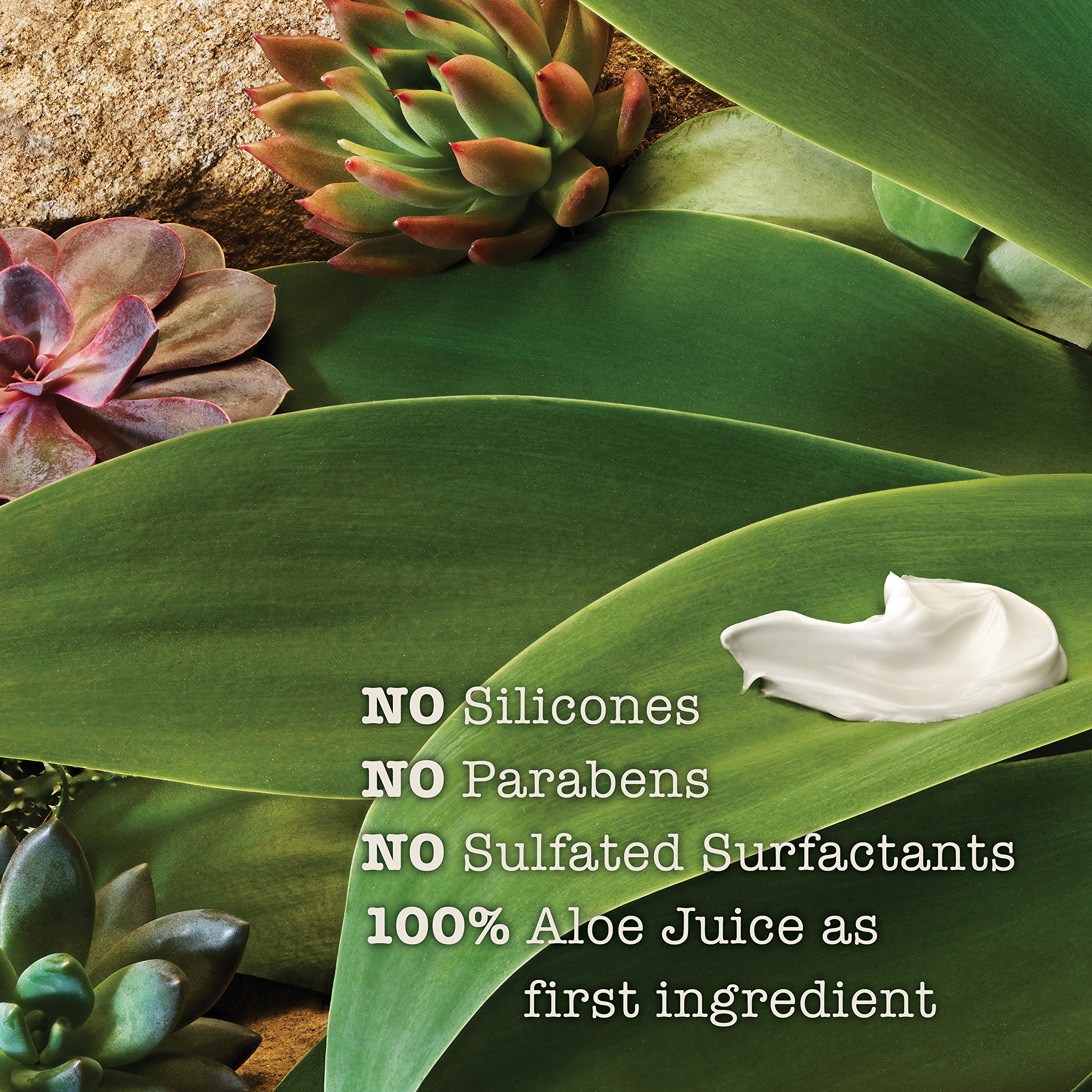 Visual of ingredients coconut water and aloe vera in Maui Moisture shampoo
