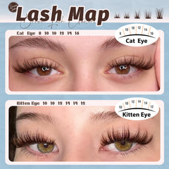 Mavphnee lash bond and seal duo for secure wear and smudge-proof finish