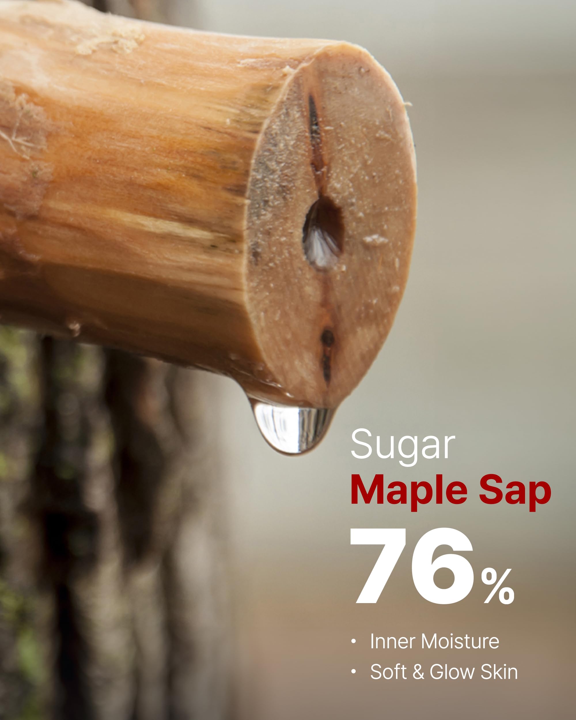 Maple sap ingredient close-up highlighting nutrient-rich hydration