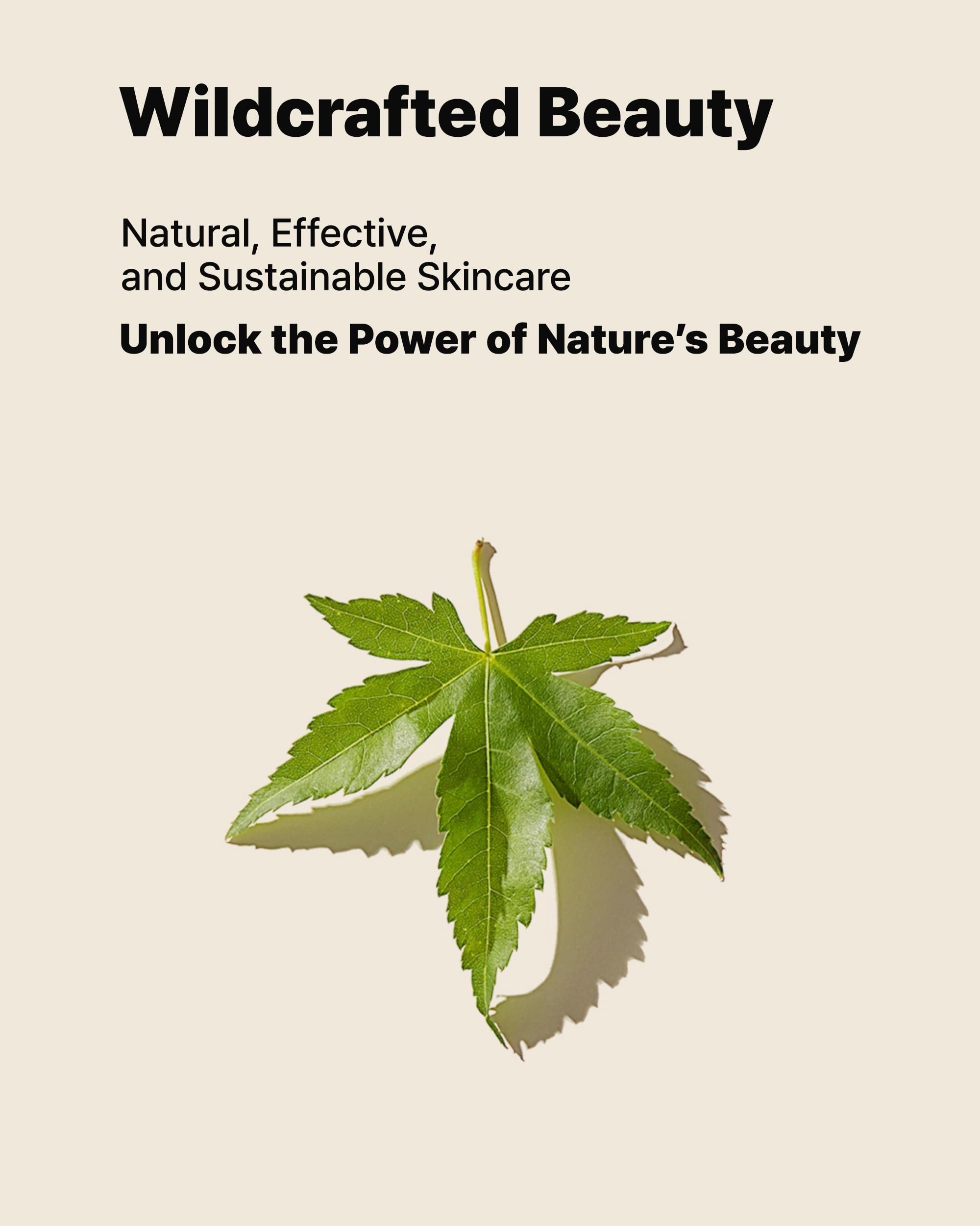 Mount Jiri inspired botanical setup illustrating Korean botanical care