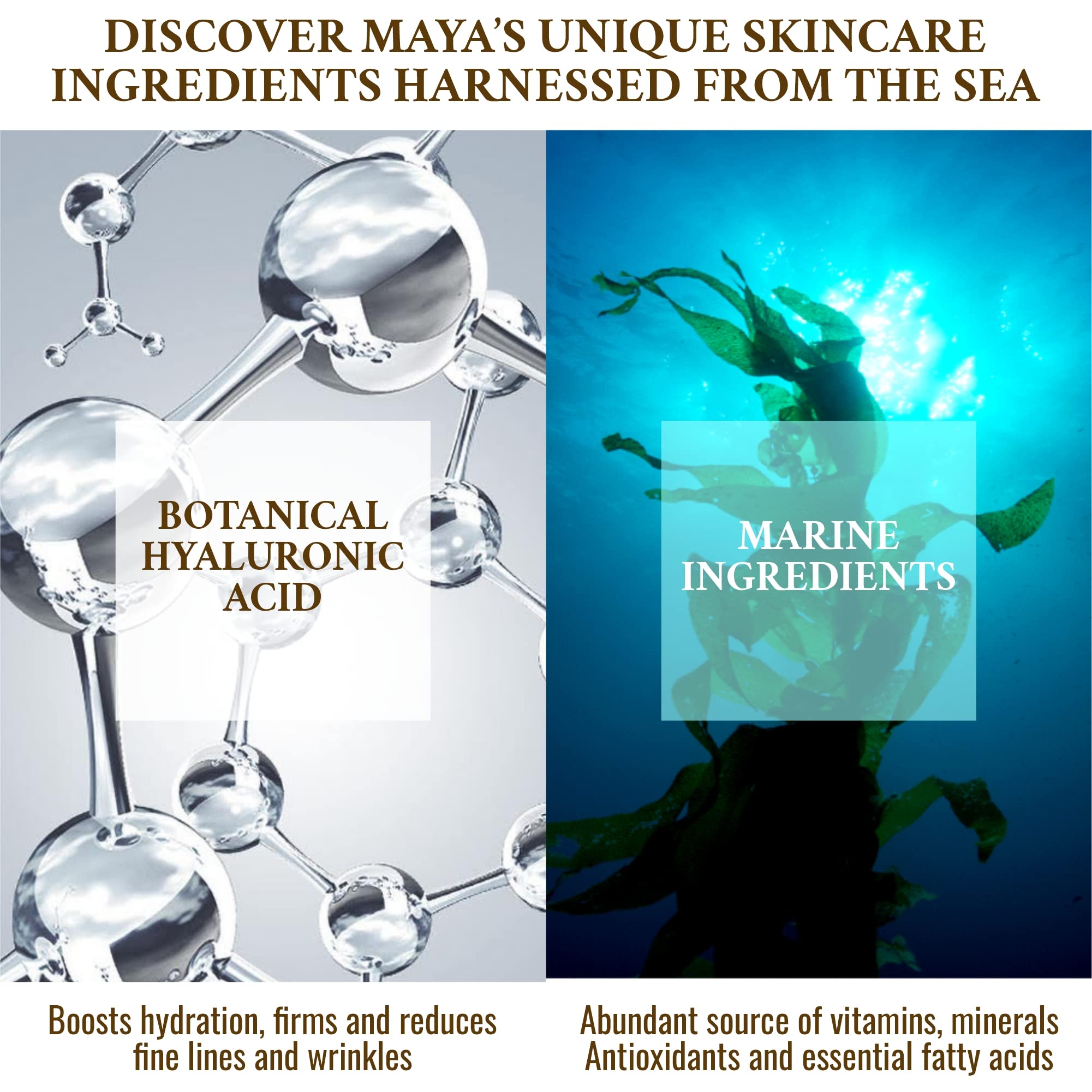 MAYA BEAUTY organic plant ingredients support clean, vegan skincare for everyday use.