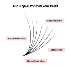 MDC Lashes promade fans with D curl in 8-16 mm for a dramatic lift.