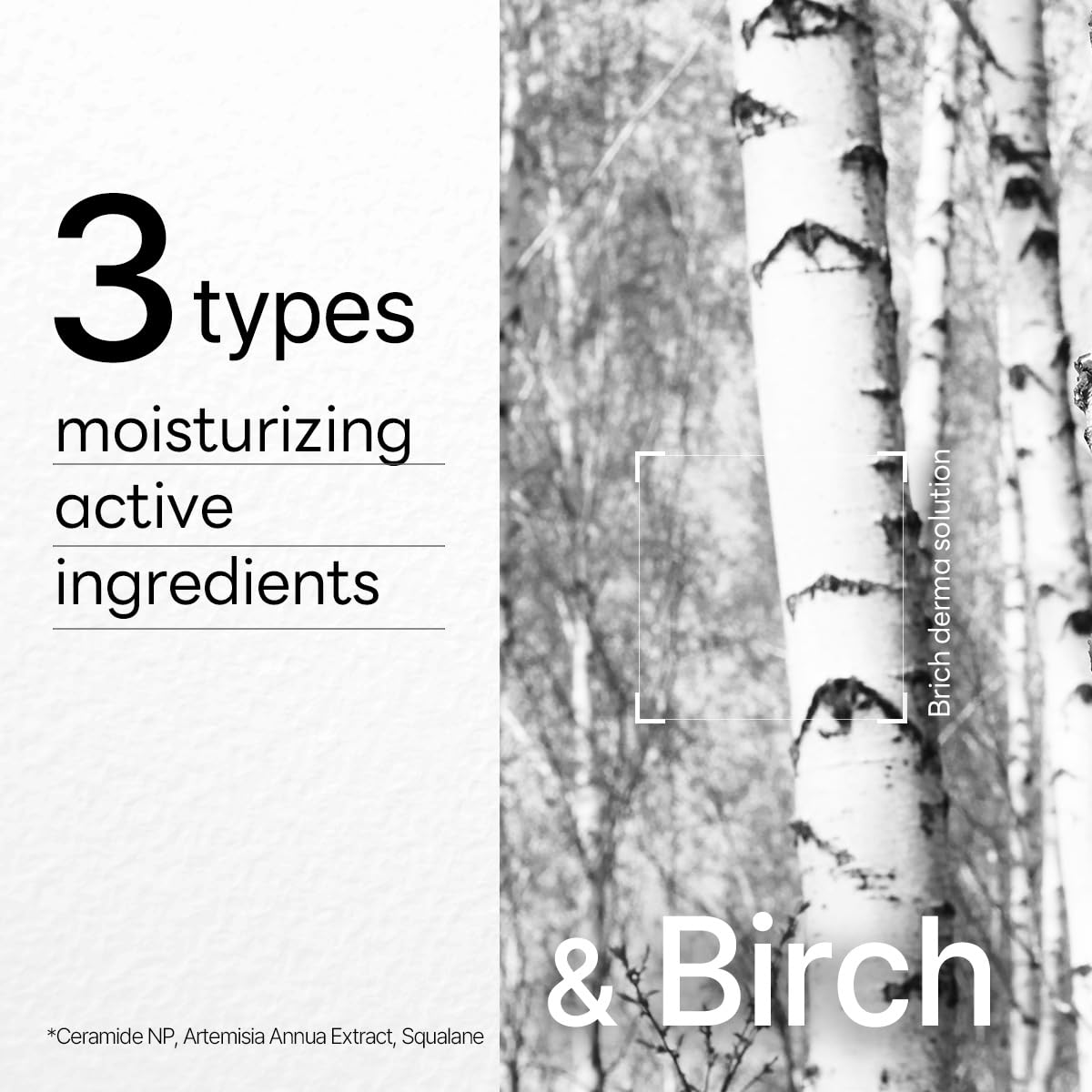Mediheal Dermaplus Birch Essence feature visible, suggesting deep moisturization and refined texture.