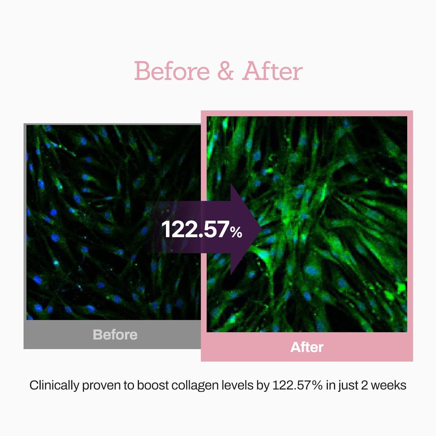 Applying serum to clean skin in a daily routine for radiant hydration.
