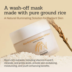 MEDITHERAPY Rice Wash-Off Mask texture close-up shows creamy clay for gentle exfoliation