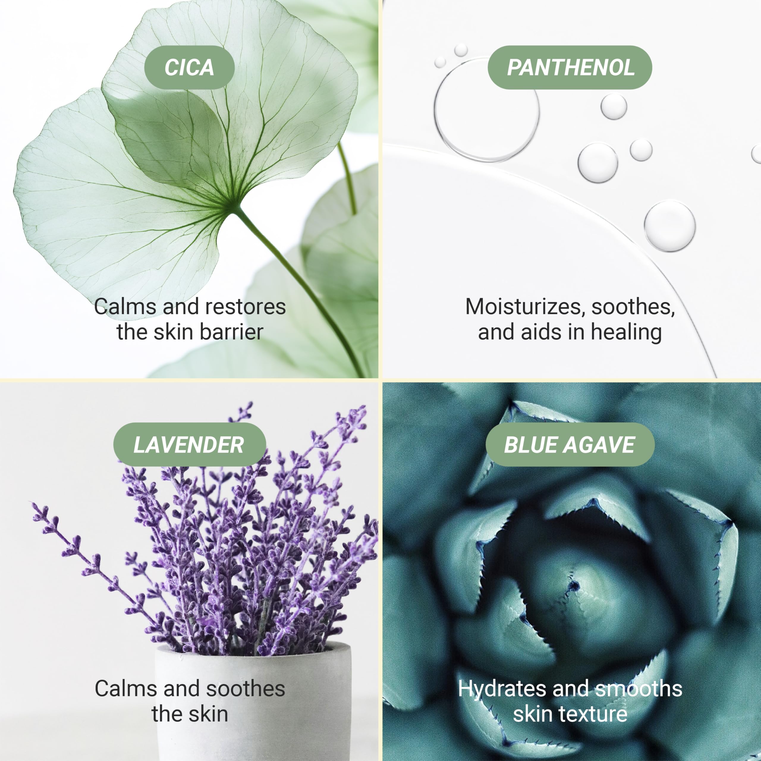 Meebak Cica Cleansing Water Pads rinse-free design for travel