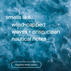 Method Body Wash Sea and Surf bottle emphasizes plant-based cleansers.
