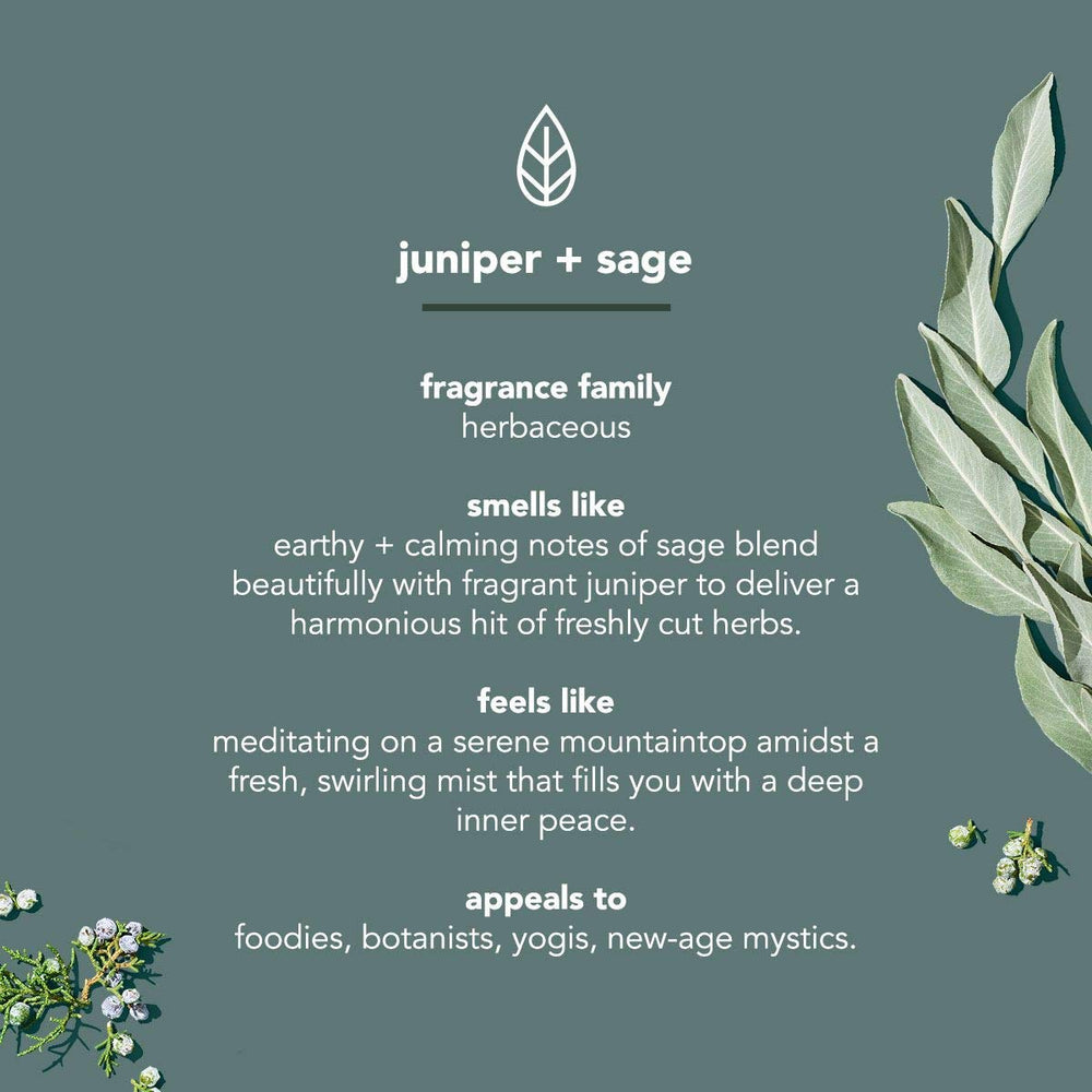 Method Mens Juniper & Sage deodorant pack display for daily use.