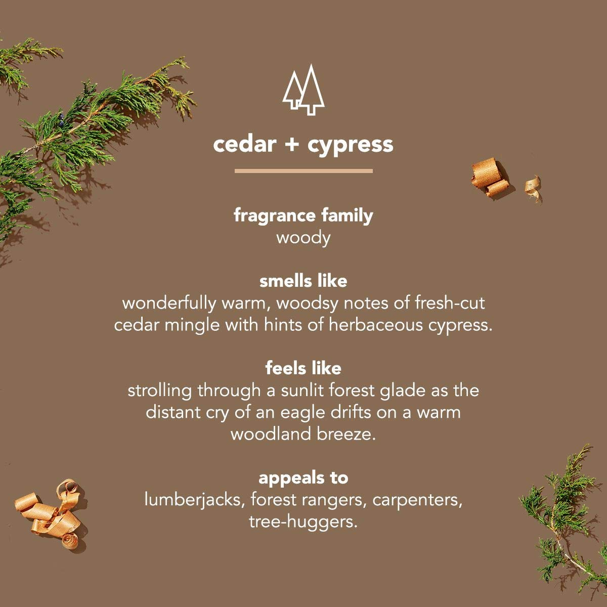 Woodsy cedar and cypress deodorant stick conveys forest-inspired fragrance by Method Mens