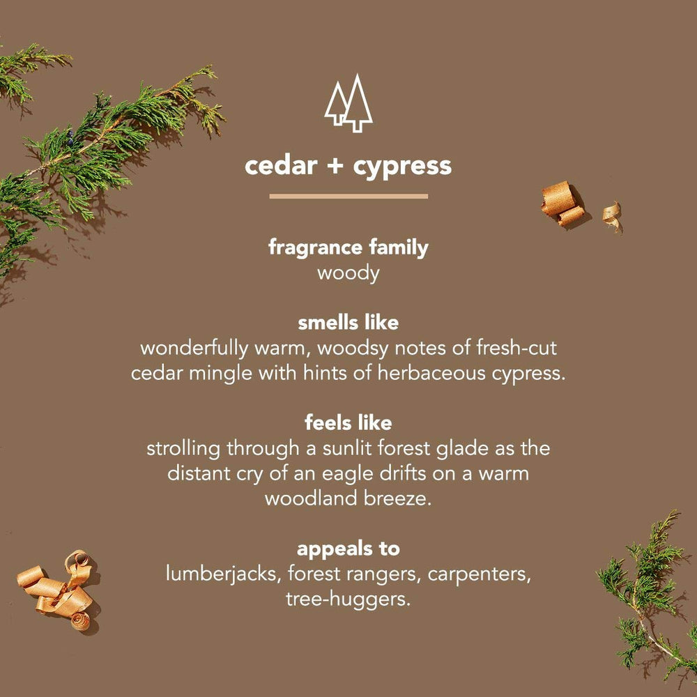 Woodsy cedar and cypress deodorant stick conveys forest-inspired fragrance by Method Mens